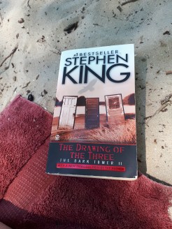 Sandbanks 2017 (4).jpg